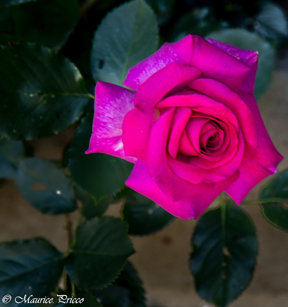 000 pm 29 60aa250f419fb 052121