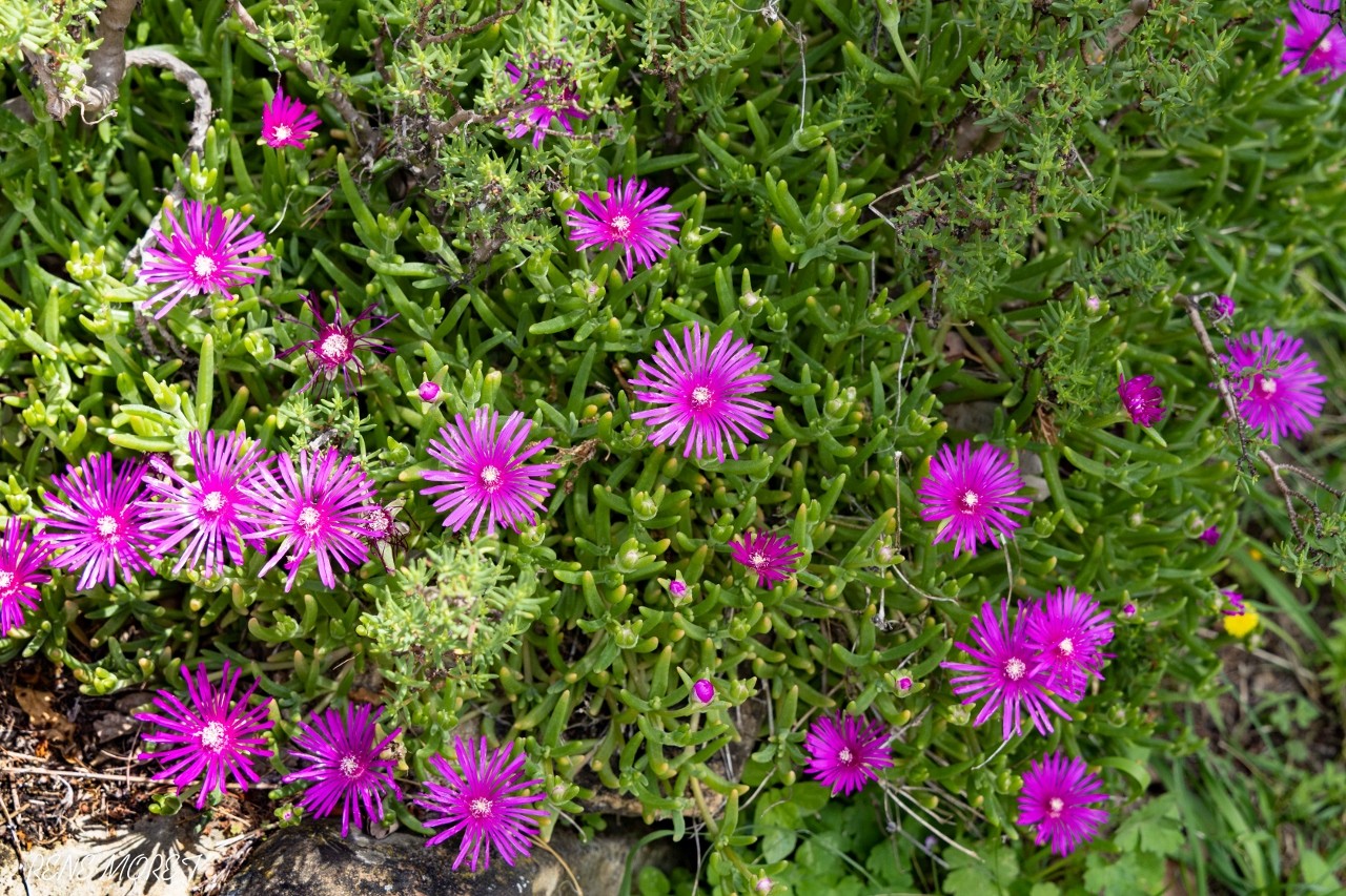 Mg 0604 1280x853 