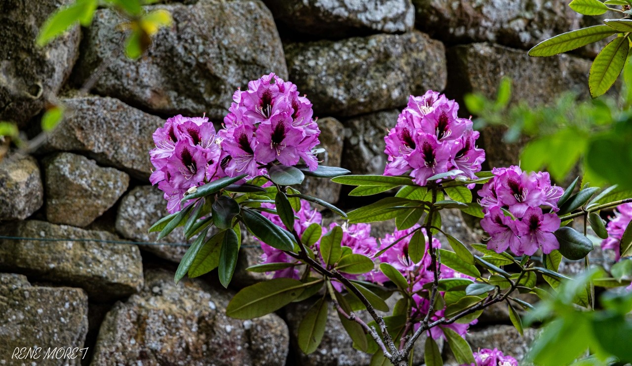 Mg 0685 1280x742 