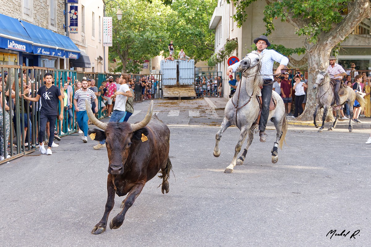 Bandido dans les rues